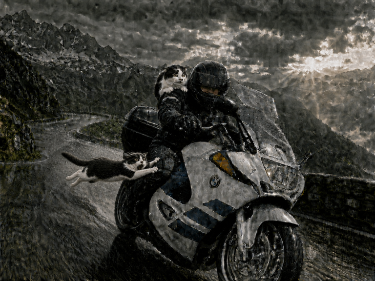 WildRider